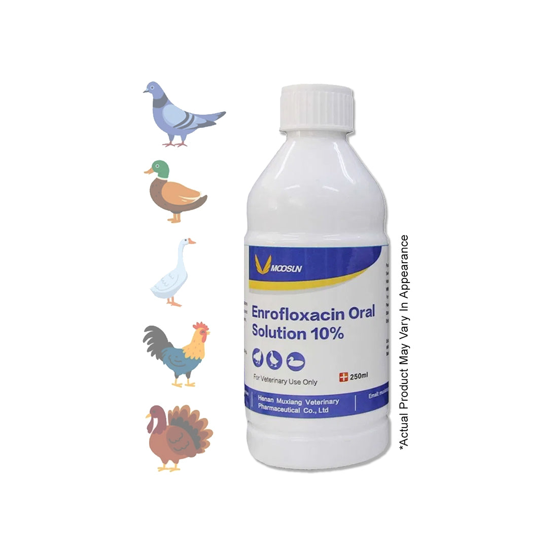 Enrofloxacin 10% (Baytril) 100ml – Powerful Broad Spectrum Treatment for Birds